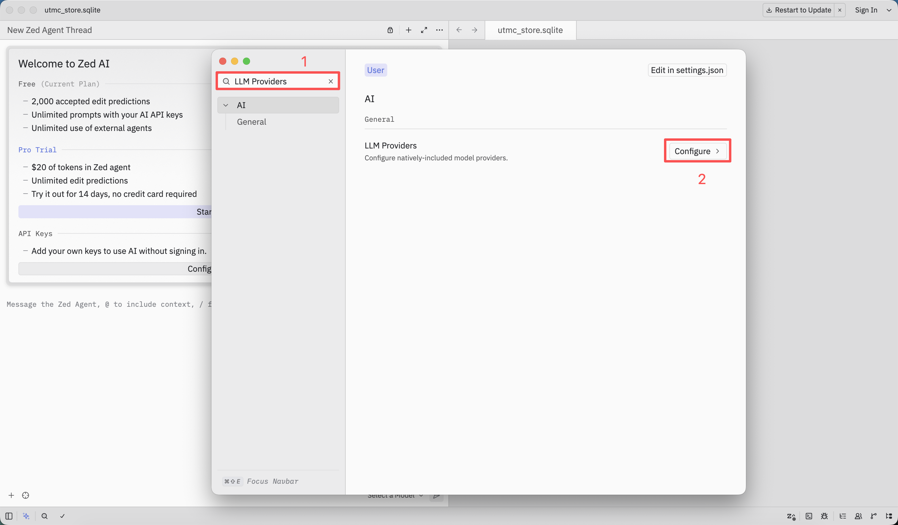 Search for LLM Providers in Zed settings and select Configure