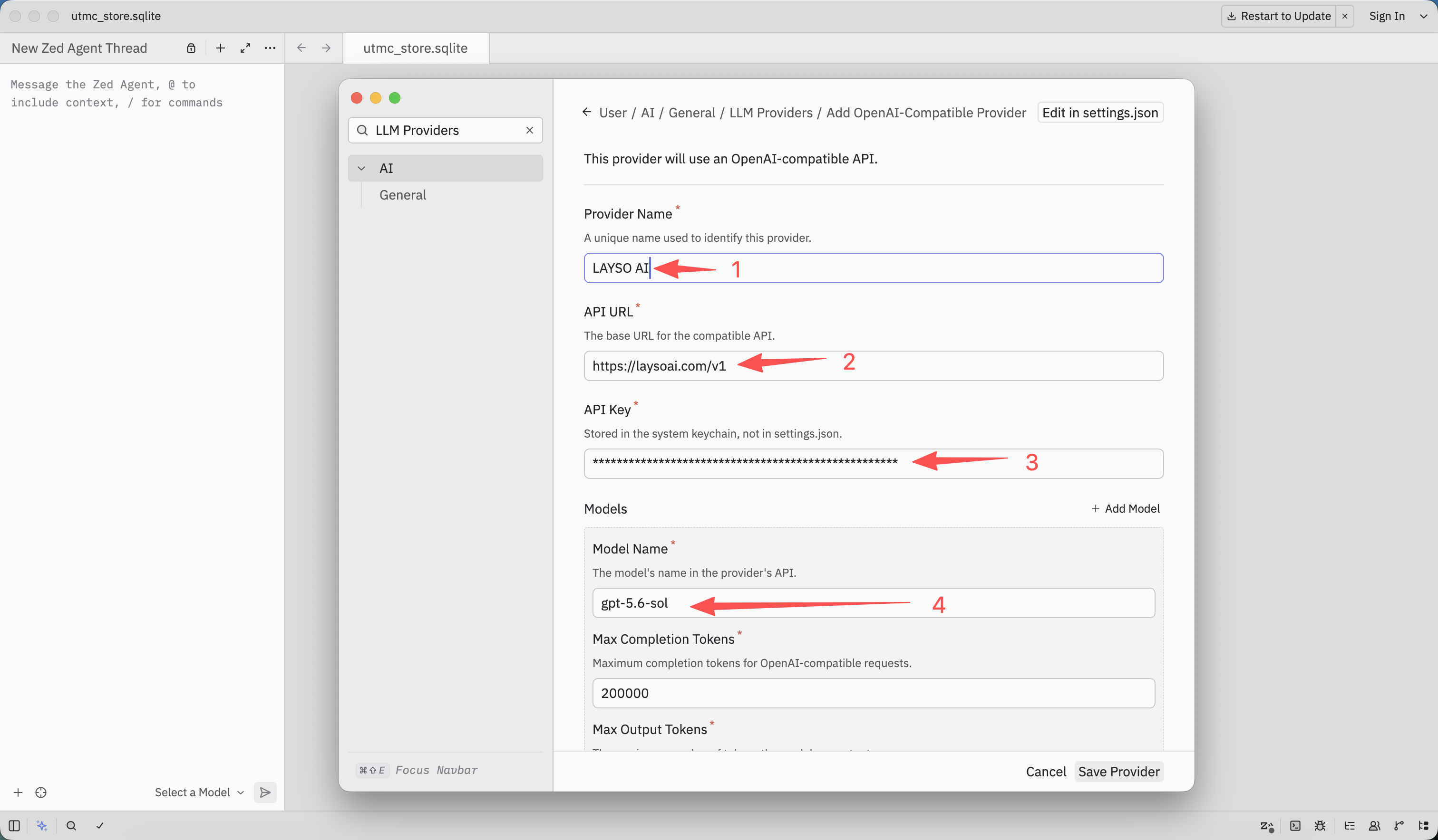 Enter the LAYSO AI provider, API URL, API key, and model settings
